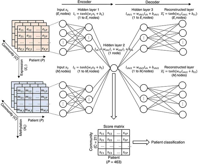 A disease network-based deep learning approach for characterizing melanoma